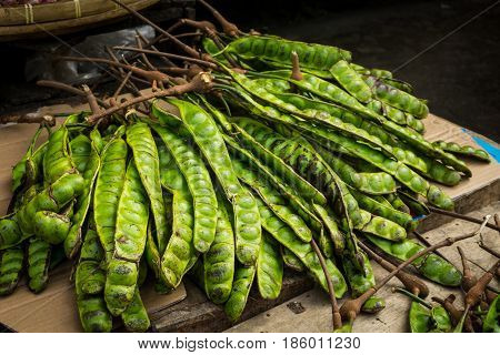 petai exotic food bean photo taken in bogor jakarta indonesia java