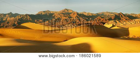 Panorama of Death Valley sand dunes California near Mesquite flat at dawn