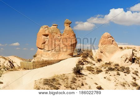 Camel Rock In Devrent Valley At Cappadocia. Turkey