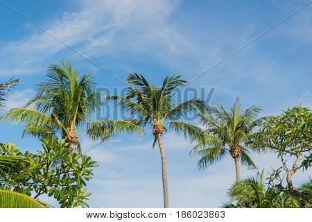 Klong Prao Beach Koh Chang Trad Thailand