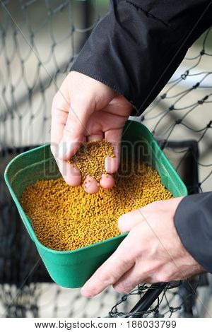 Food for farmed fish. The fisherman holds in his hand a box of fish food