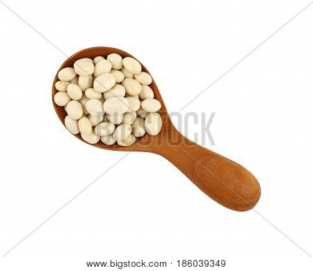 White Frigole Kidney Beans In Wood Scoop On White