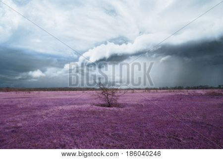 The storm is coming to the valley.