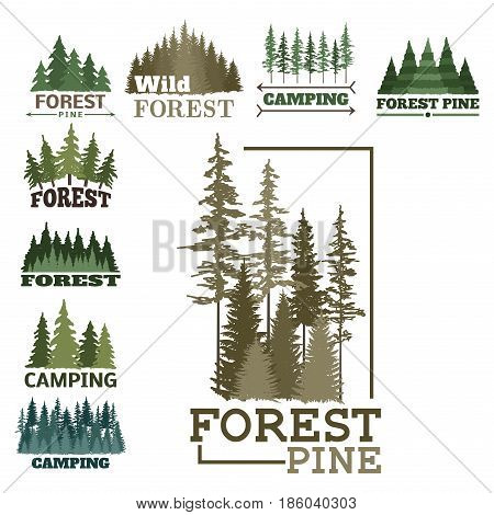 Tree outdoor travel green silhouette forest logo coniferous natural badge tops pine spruce branch cedar and plant leaf abstract stem drawing vector illustration. Panorama scene horizon decoration.