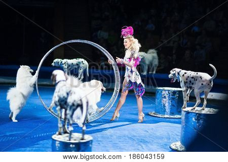 Beautiful woman dog trainer show at the circus.