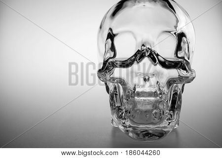 Crystal skull glass brainpan black and white detail