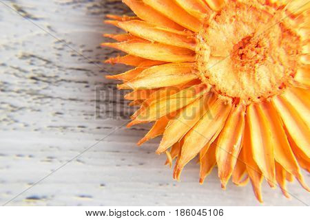 Dry orange flower flower decoration on the white wooden table
