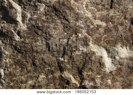 The texture of the stone on the wall is light brown in color