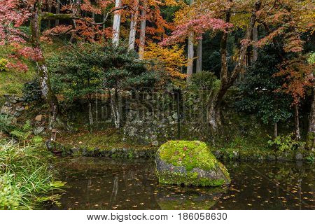 Park in autuman season