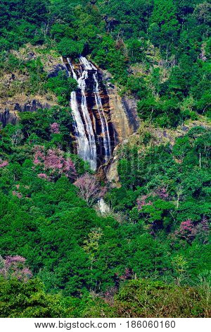 Siriphum Waterfall.