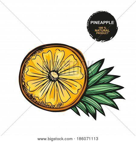 Hand Drawn Fruits