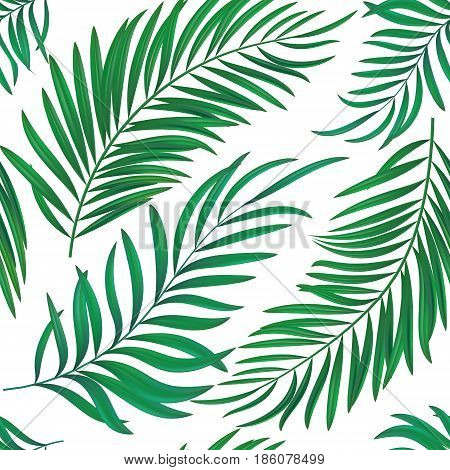 Seamless repeat coconut palm leaves. Realistic vector