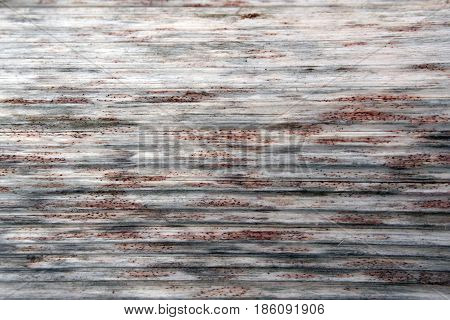 Aged Sosnowsky Hogweed Stem Wood Texture With Stripes