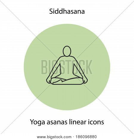 Siddhasana yoga position linear icon. Thin line illustration. Yoga asana contour symbol. Vector isolated outline drawing