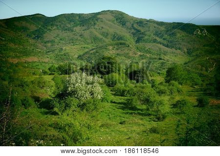 vintage spring landscape of countryside in Nebrodi Park, Sicily