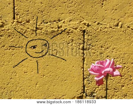Rose near a wall that has the drawing of a sun that illuminates it