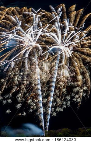 Firework fireworks celebration gold white over forest