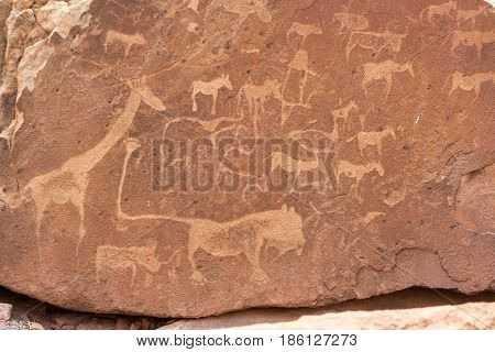 Bushman Engravings In The Granite Rock, Twyfelfontein Unesco World Heritage Site, Kunene Region, Dam