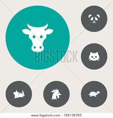 Set Of 6 Alive Icons Set.Collection Of Rooster, Kine, Bear And Other Elements.