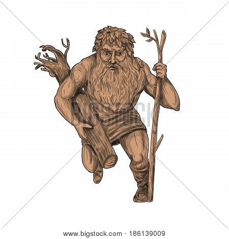 Tattoo style illustration of a leshy or Leshiye a tutelary spirit of the forests in Russian or Slavic folklore holding tree trunk and staff viewed from front on isolated white background.