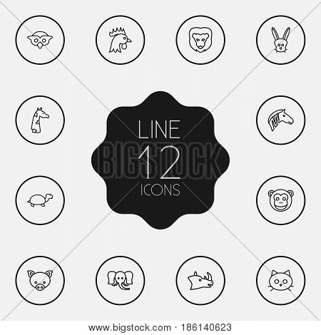 Set Of 12 Beast Outline Icons Set.Collection Of Turtle, Cat, Owl And Other Elements.