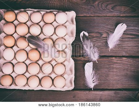 Fresh chicken eggs in a paper tray on a wooden surface next to chicken feathers vintage toning