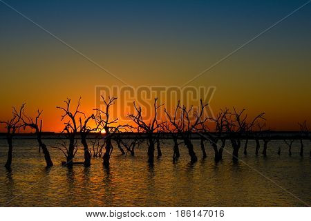 Dusk in the flooded city of Epecuen with its dead trees