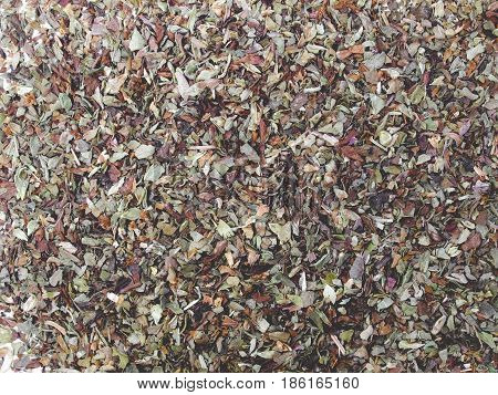 Oregano Spice, Faded Vintage Look