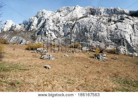 spring NPR Devin - Kotel - Souteska in Palava mountains in South Moravia with meadow flowering cornus mas plants limestone rocks and clear sky