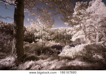 Beautiful False Color Surreal Infrared Landscape Image Of Lake And Surrounding Forest