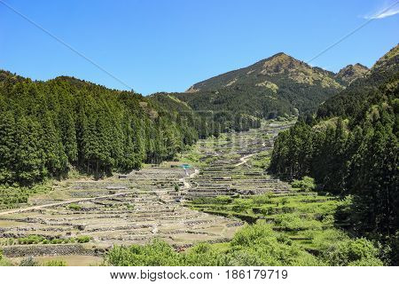 Yotsuya Rice Terrace of Shinshiro in Aichi, Japan.