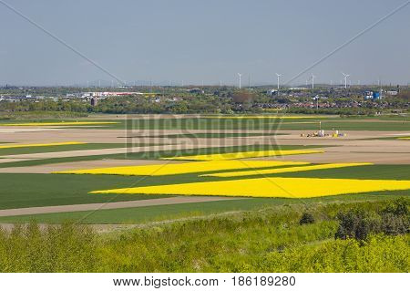Rape Fields And Wind Turbines View