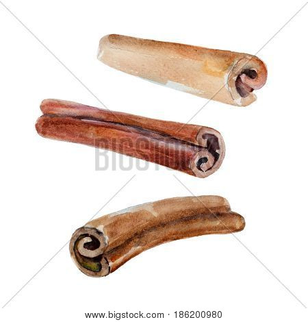 The spice cinnamon sticks isolated on white background watercolor illustration set in hand-drawn style.