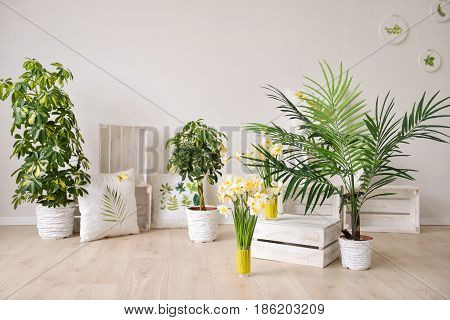 white daffodils with butterflies, spring background of flowers.