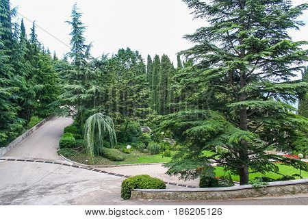 The Territory Of Sanatorium 