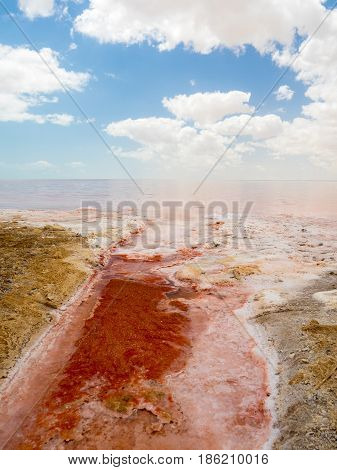 Pink salt flats in Shannah Oman. Detail of dry ground and salt crystals.