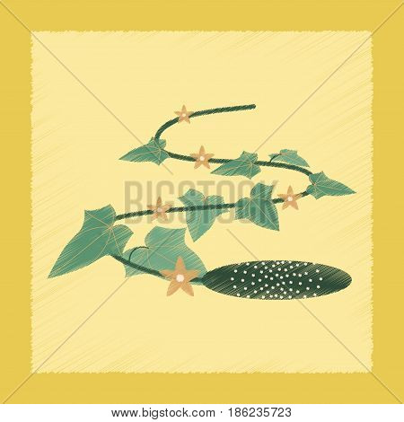 flat shading style Illustrations of plant Cucumis