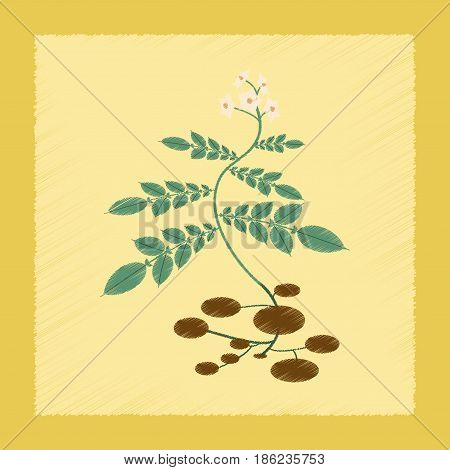 flat shading style Illustrations of plant Solanum
