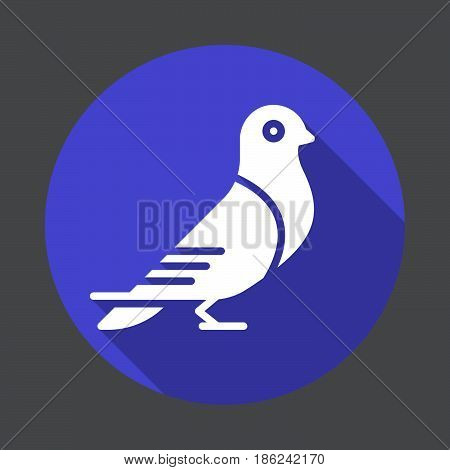 Dove carrier pigeon flat icon. Round colorful button circular vector sign with long shadow effect. Flat style design