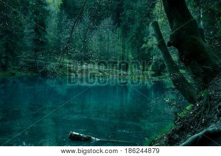 Magical pond in mysterious dark forest .