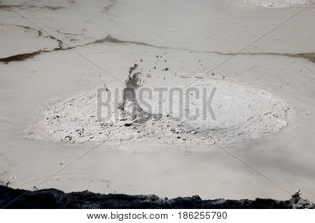 Rotorua Mud Pools