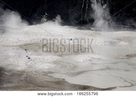 Rotorua Mud Pools