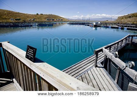 Lake Benmore Salmon Farm