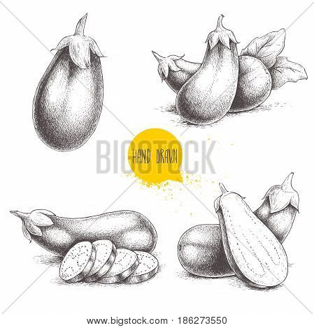 Hand drawn sketch style fresh eggplants. Fresh eggplant and sliced eggplant. Healthy fresh organic food isolated on white background.