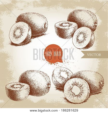 Hand drawn kiwi fruit vector illustration set. Sketch style vector design isolated on grunge background. Tropic fruit.