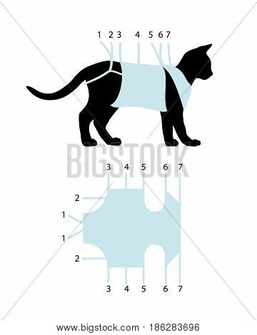 Scheme of binding of postoperative bandage on a cat