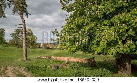 Landscape view of Hughenden Valley High Wycombe UK