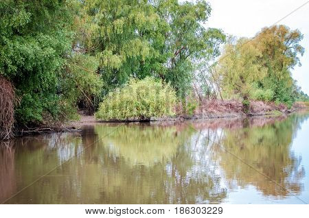 Canal with trees and vegetation reflected in the water. Specific landscape of this area.