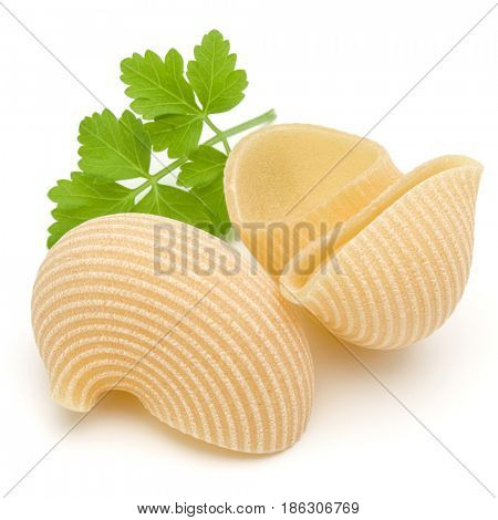 Italian lumaconi isolated on white background. Lumache, snailshell shaped pasta.