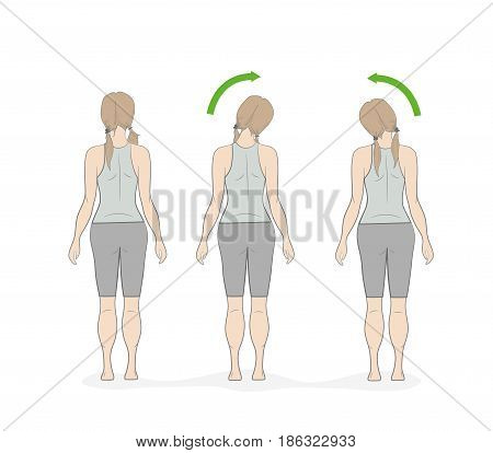 exercises for the neck and head. vector illustration.